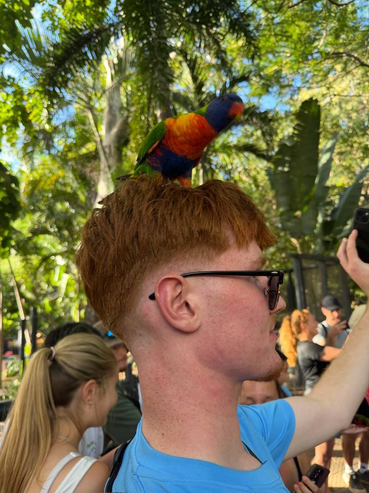 Side profile of a young man with a colorful lorikeet perched on his head in a lush wildlife park