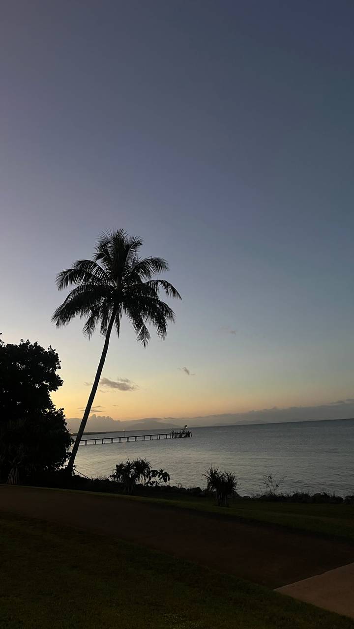 Single tall palm tree silhouetted against a pastel evening sky
