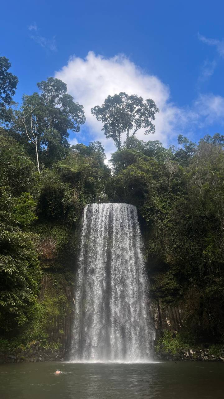 Tall curtain waterfall plunges into a forested gorge surrounded by dense greenery