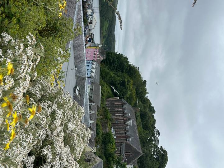 Colorful waterfront buildings of a coastal Scottish village framed by wildflowers and trees.