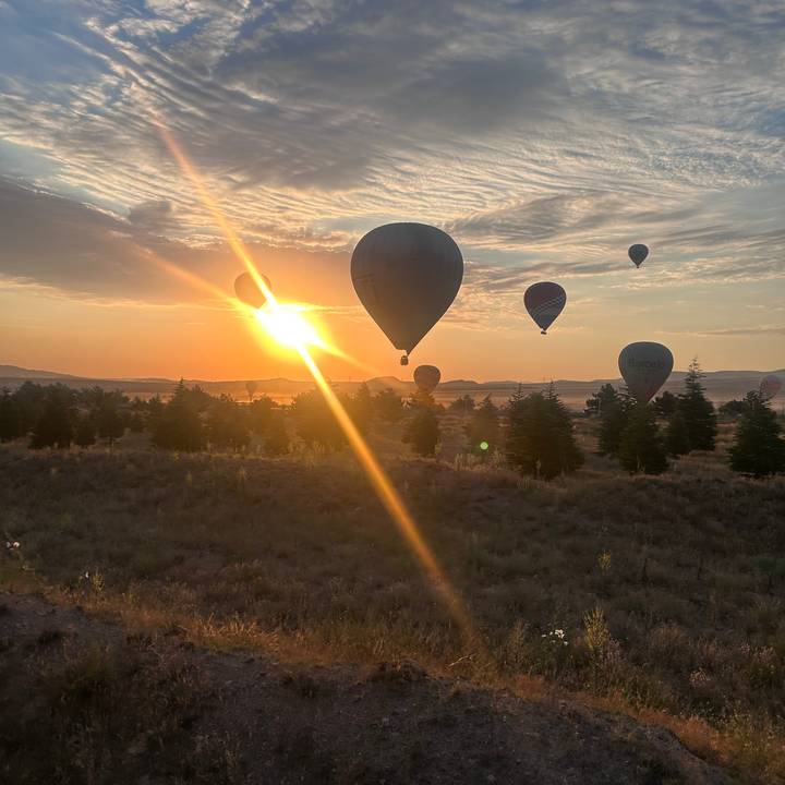 Rays of sunrise pierce around a hot-air balloon floating above a misty tree-lined plain.