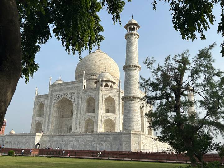 Classic view of the white marble Taj Mahal mausoleum framed by trees against a clear sky.