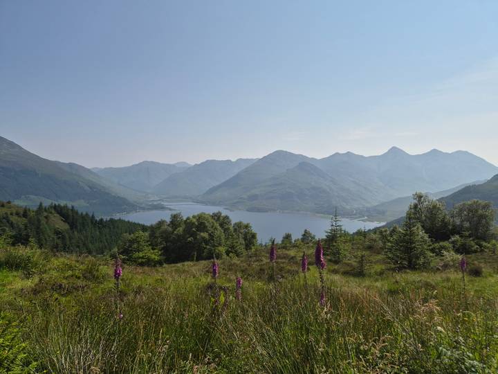 Wide Highland vista of mountains and lake bordered by blooming foxgloves under hazy skies.
