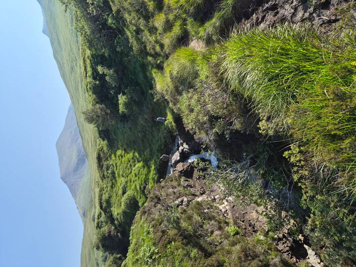 Pair of hikers explore a lush stream-filled glen beneath a tall mountain peak.