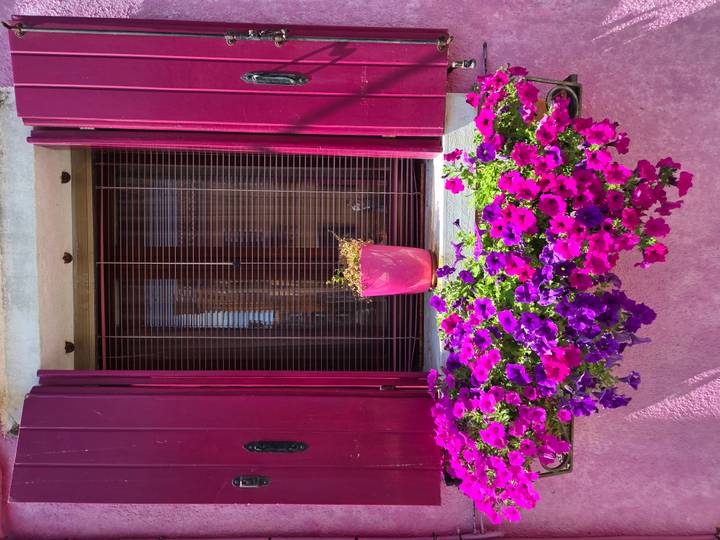 Bright magenta and purple flowers spill from a window box beneath matching painted shutters and blinds.
