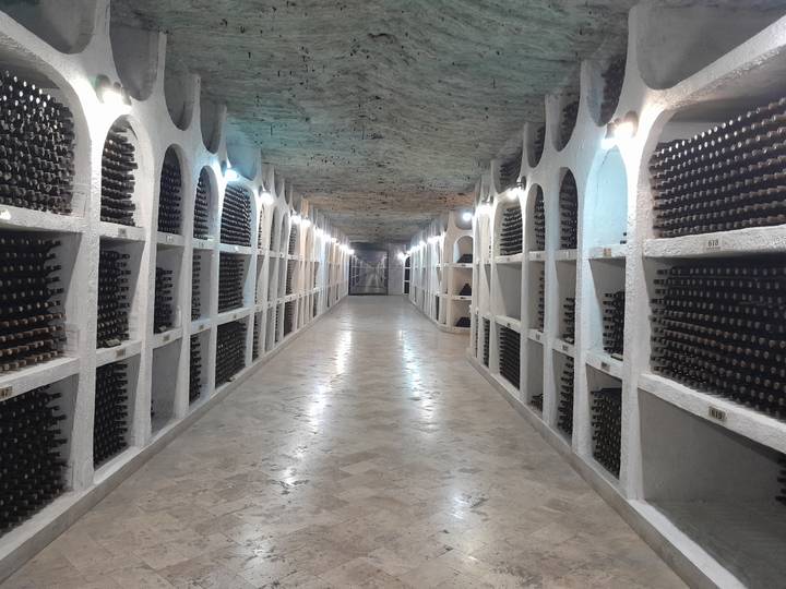 A long underground wine cellar corridor lined floor-to-ceiling with aging bottles disappears into the distance.