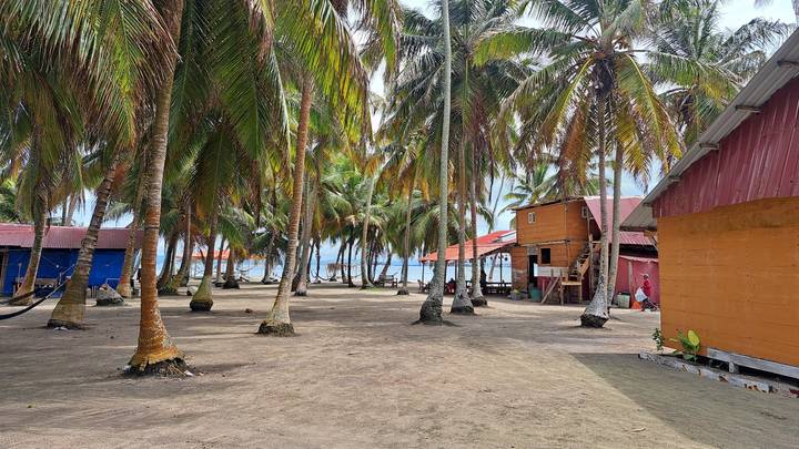 Sandy clearing lined with tall palm trees and colorful beach huts on a tropical island.