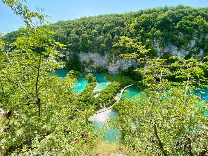 High viewpoint over vivid turquoise lakes connected by winding boardwalks surrounded by lush forest in Plitvice.