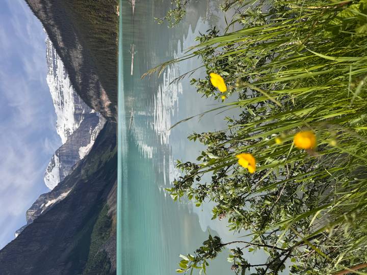 Snow-capped peaks reflect in calm turquoise waters with wildflowers in foreground.