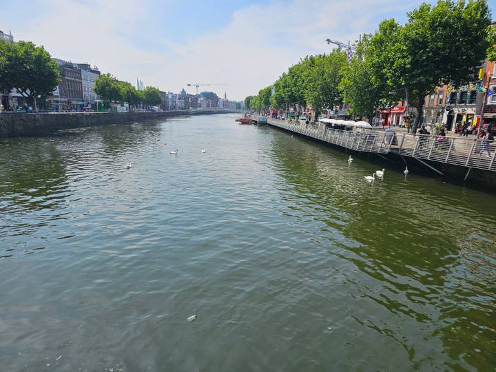 River Liffey scene with swans, pedestrian quays and distant bridge in Dublin