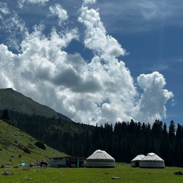 Pine-covered mountain slope under towering cumulus clouds and deep blue sky.