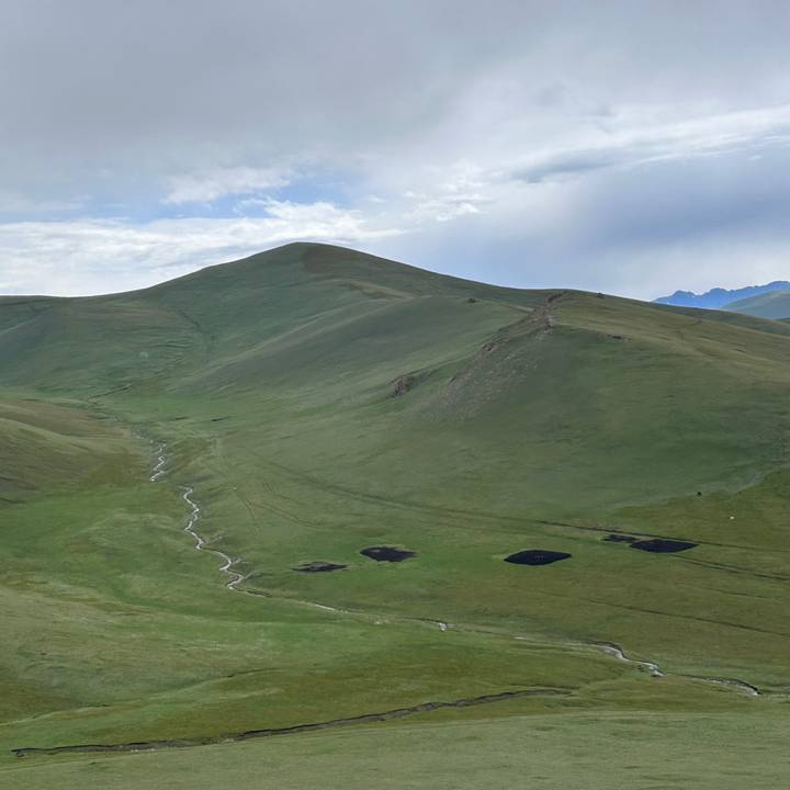 Rolling green high-country hills with winding stream under soft clouds.