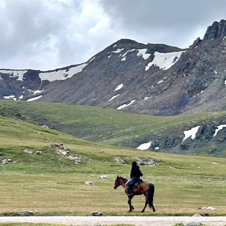 Snow-speckled alpine valley with lone black yak grazing on the meadow.