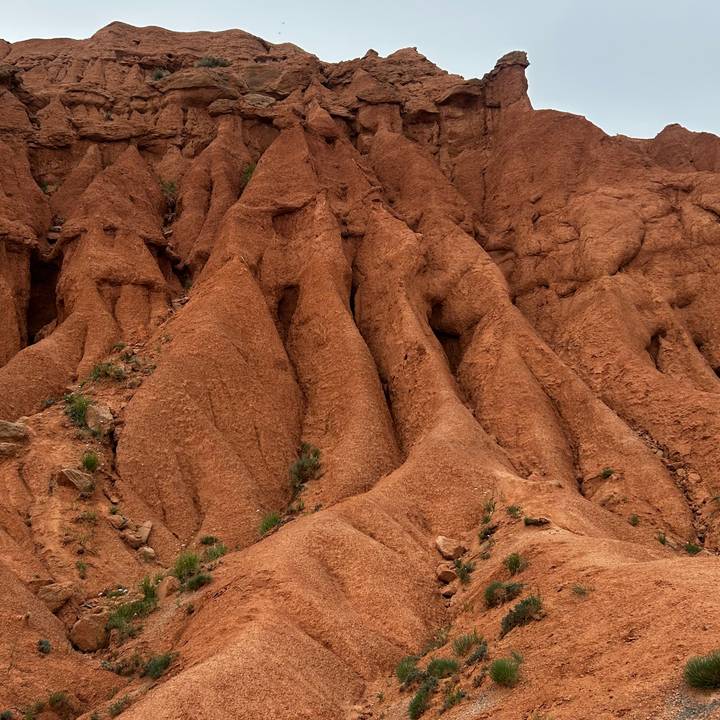 Close view of dramatic red sandstone formations with small plants in crevices