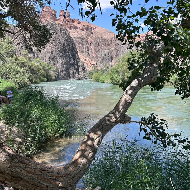 Clear river flowing through a lush canyon with a lone visitor standing on the bank