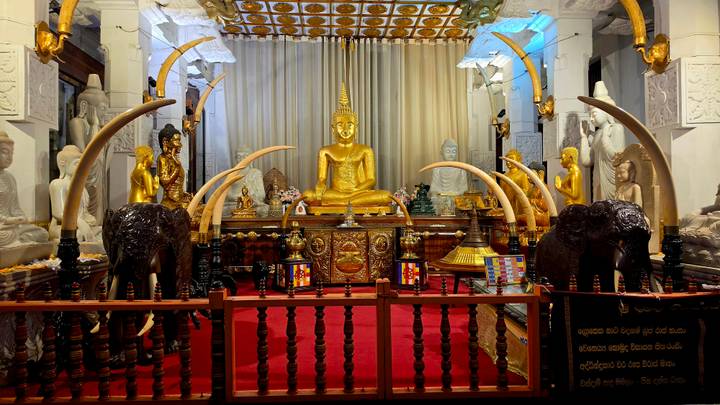Lavish shrine hall featuring a golden seated Buddha flanked by ornate elephant tusks, statues and offerings on a red carpet.