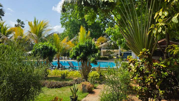 Lush tropical garden framing a turquoise hotel pool with deck chairs under a bright blue sky.