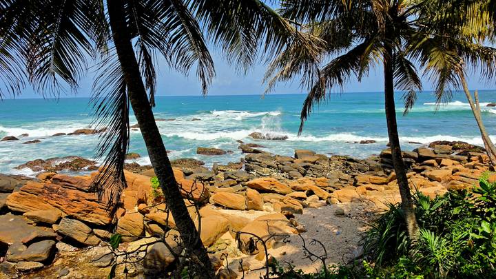 Scenic rocky coastline framed by leaning palm trees with turquoise waves crashing under a clear sky.