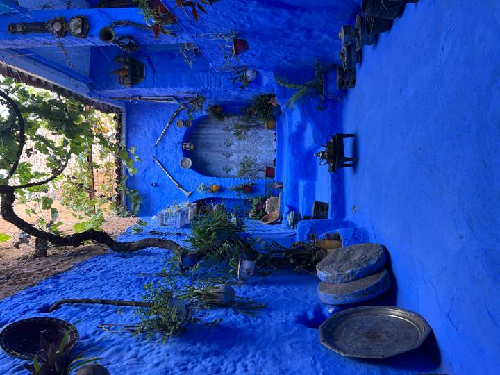 Charming courtyard in Chefchaouen painted entirely blue, decorated with potted plants and traditional pottery.