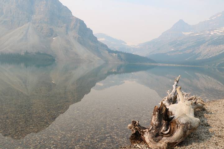 Serene mountain lake reflecting rugged peaks and a weathered driftwood log along the rocky shore.