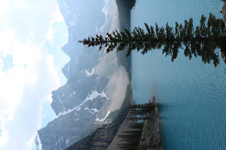 Iconic glacial lake with teal water, steep peaks, and a lone evergreen rising in the foreground.
