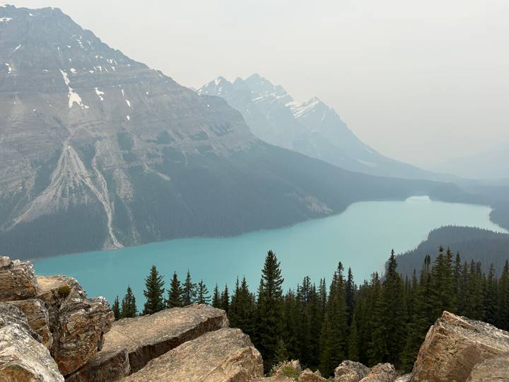Elevated view of a glacier-fed turquoise lake bordered by dense forest and snowy peaks.