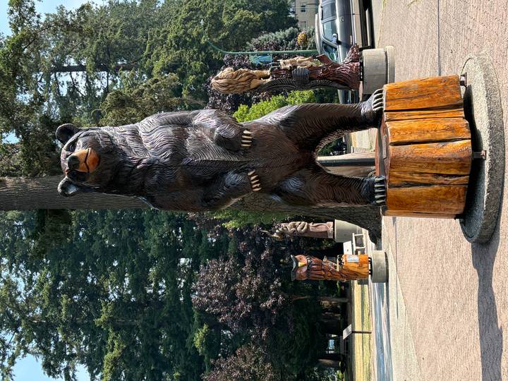 Carved wooden bear statue standing upright in a park surrounded by tall trees.