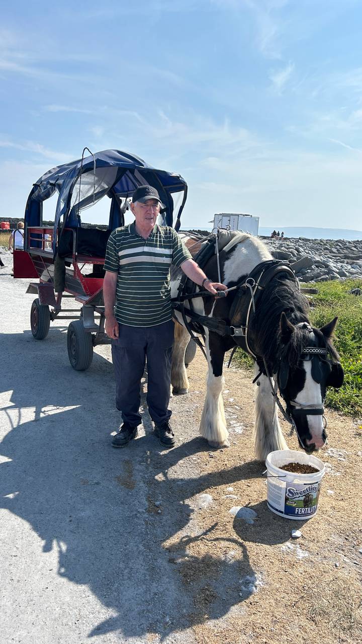Local driver stands beside a black-and-white horse harnessed to a red wagon on a coastal track.