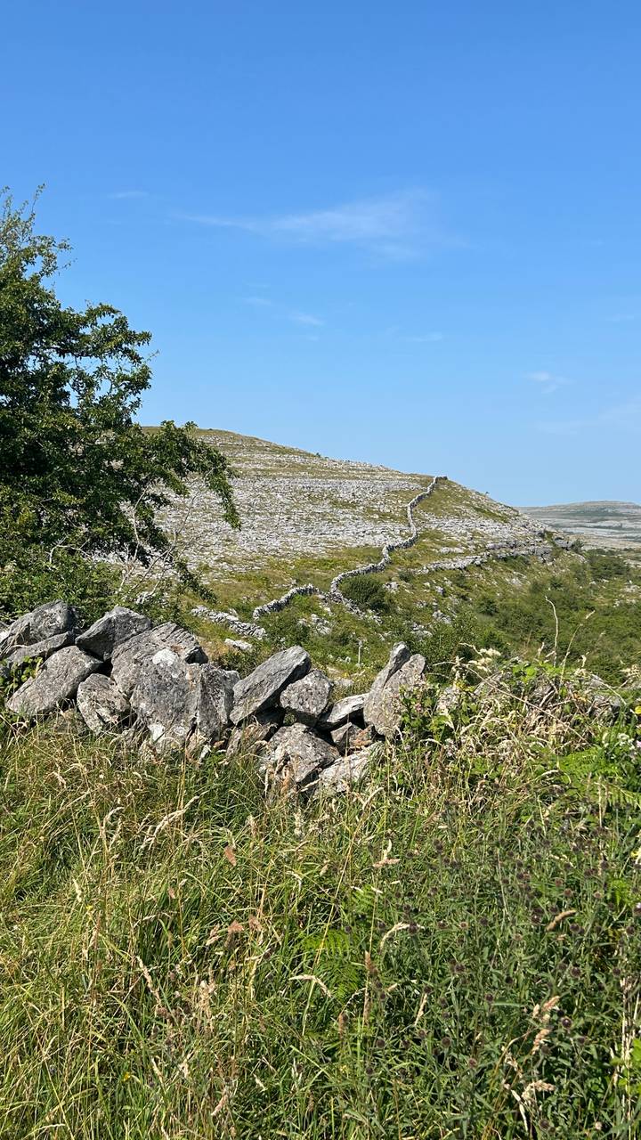 A long dry-stone wall snakes across a rocky, shrub-covered hillside under blue sky.