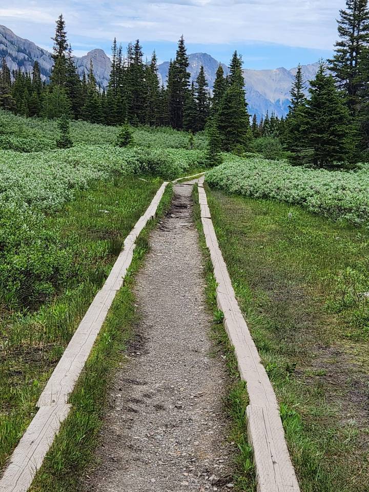 Narrow gravel hiking path bordered by wooden planks winding through lush green meadow.