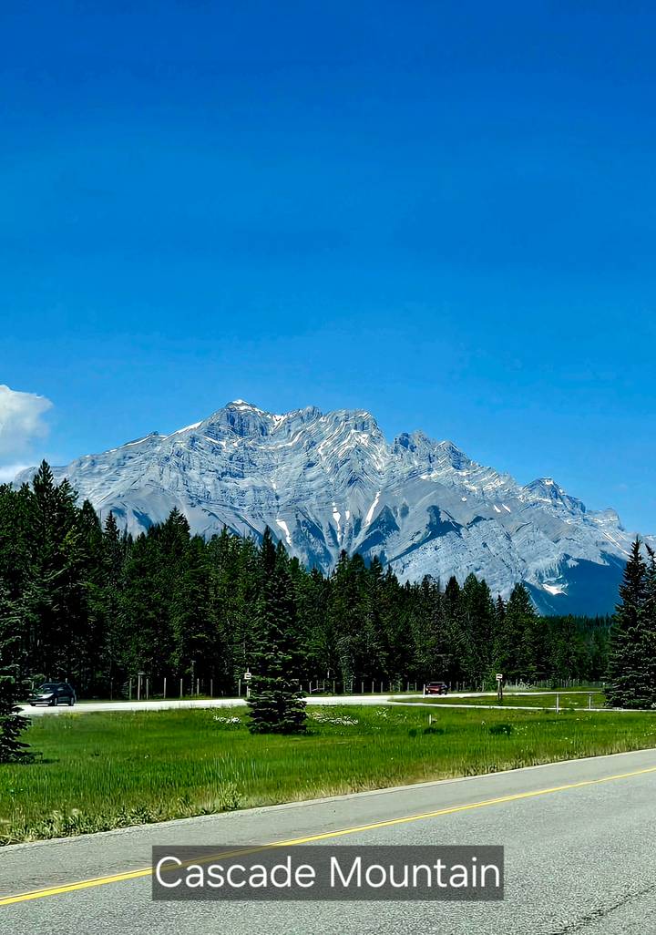 Snow-streaked rocky mountain peak rises above dense evergreen forest under clear blue sky.