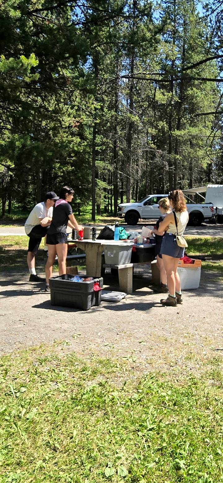 Campers prepare food on a picnic table surrounded by camping gear and forest.