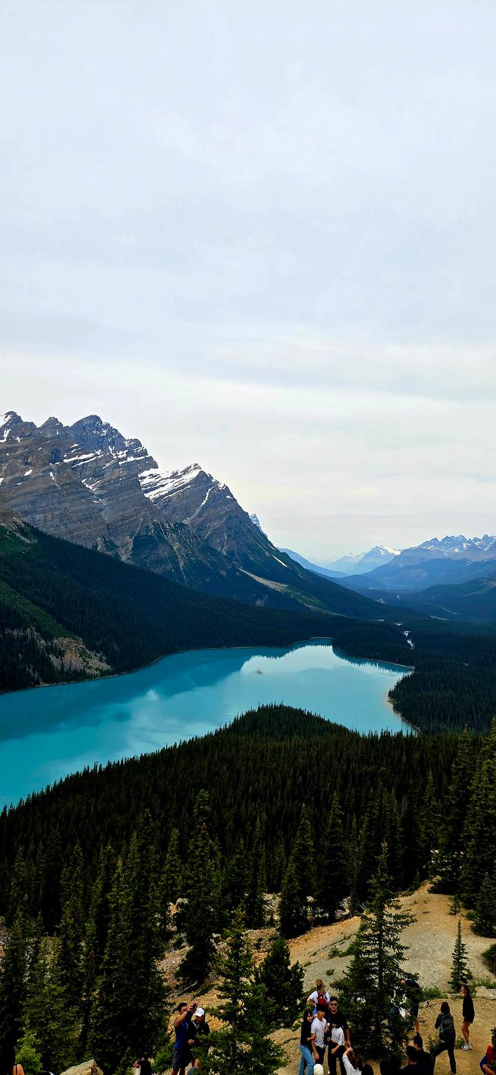 Iconic turquoise Peyto Lake in the Canadian Rockies with rugged peaks looming above.