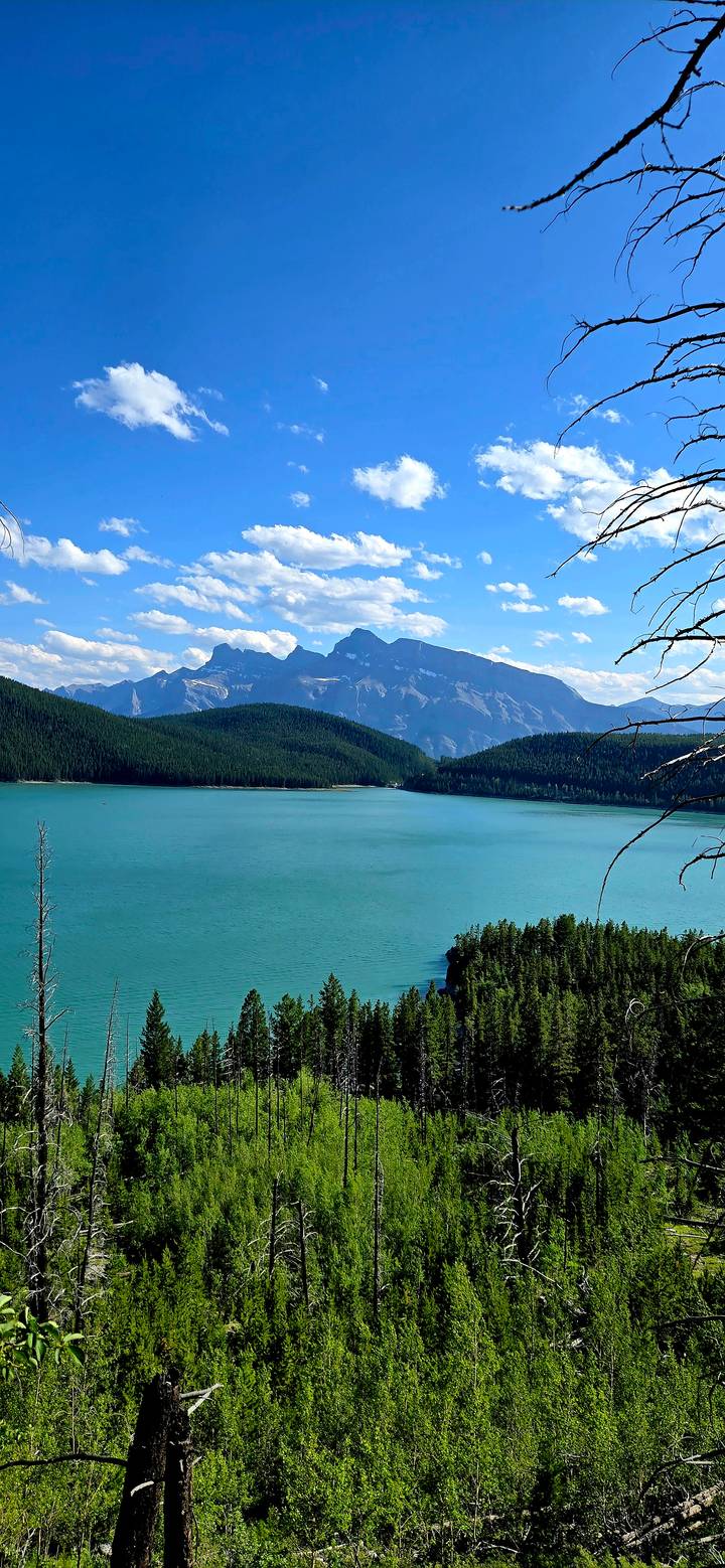 Expansive turquoise lake framed by dark forest with a rugged mountain range beyond.