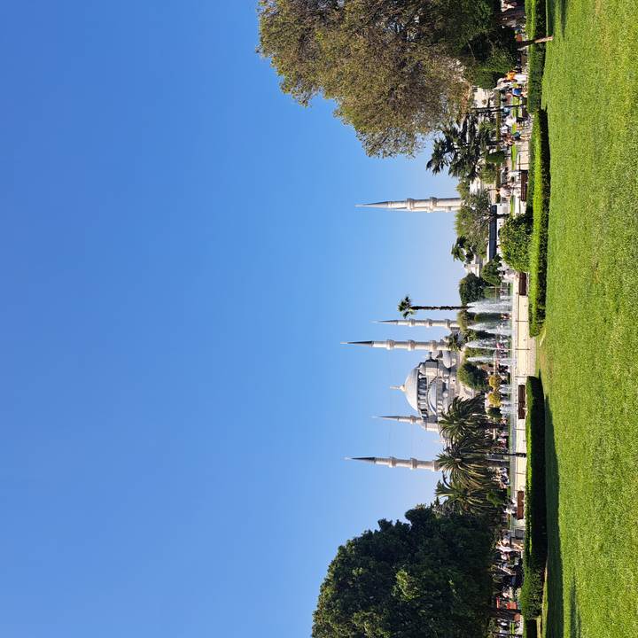 Elegant profile of the Blue Mosque with fountains and palm-lined gardens under a cloudless sky.