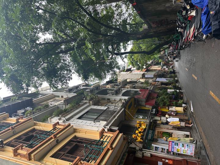 Narrow old-town street lined with tall colonial buildings, trees and a few shoppers under cloudy skies