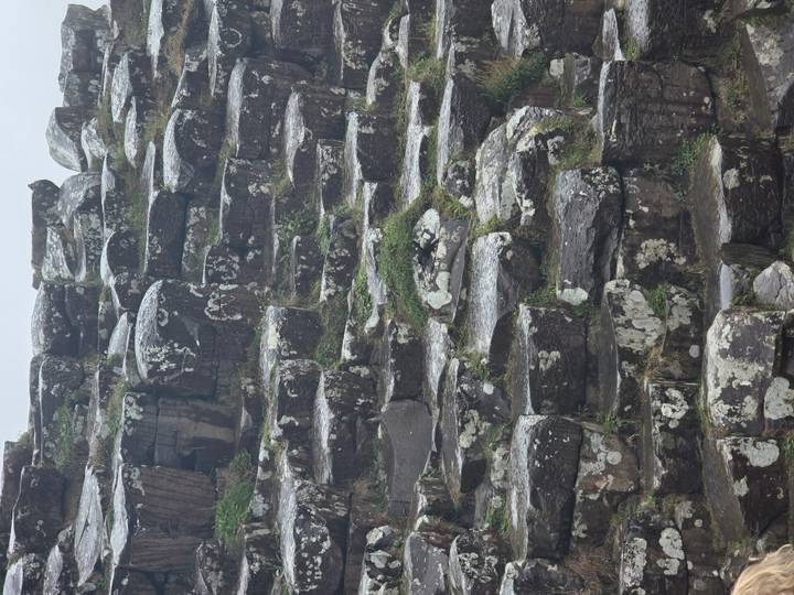 Detail of wet, lichen-spotted basalt columns stacked in geometric formations.