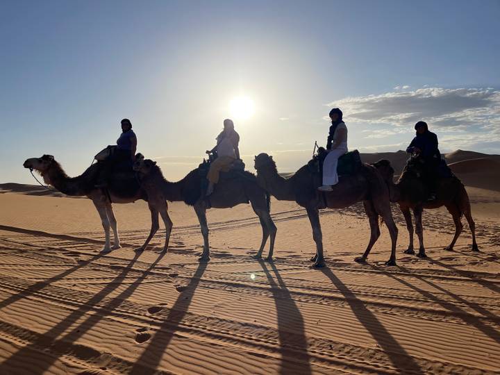 Back-lit silhouette of travellers on camels with long shadows stretching over the desert at sunset.