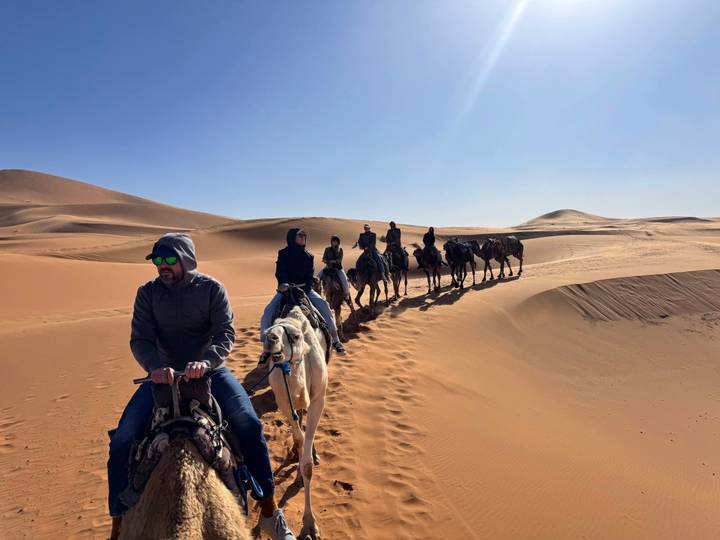 Line of tourists riding camels across rolling orange dunes under a clear blue Saharan sky.