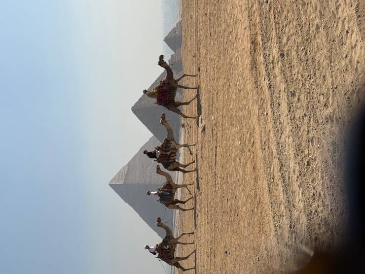Caravan of tourists on camels passing in front of the pyramids on Giza plateau.