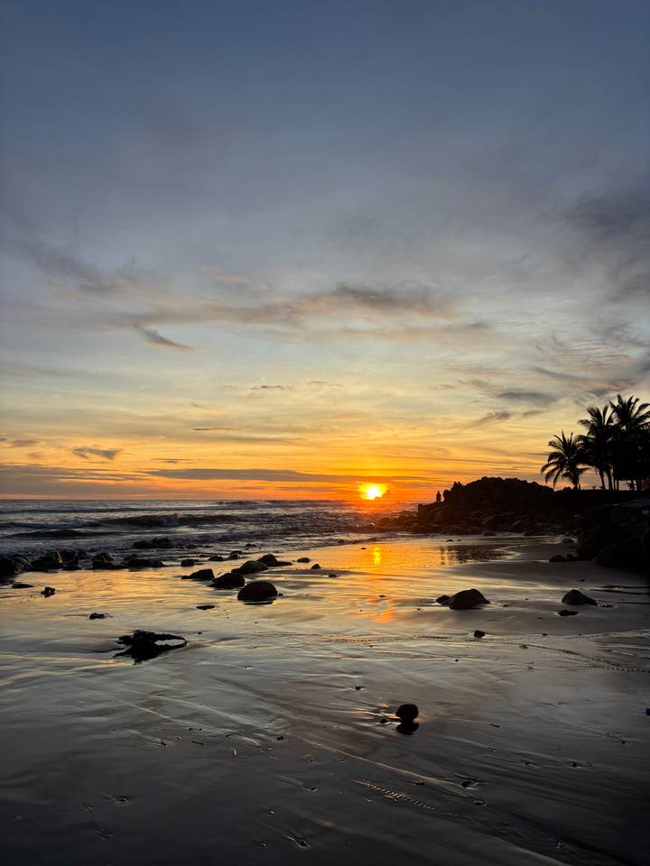 Golden sun dips behind palm trees and rocky shoreline casting reflections on a tranquil beach.