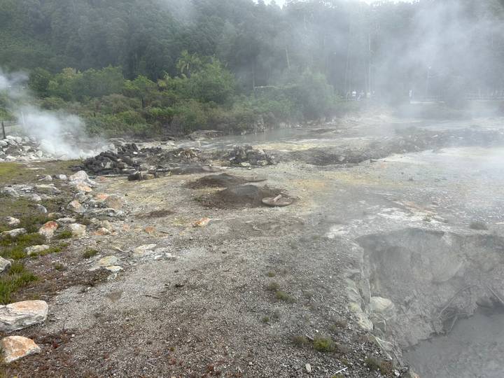 Steamy geothermal field with rocky ground, fumaroles, and mist rising amid lush forest backdrop.