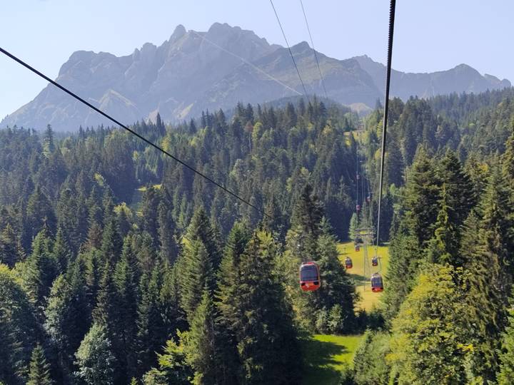 Red gondola cabins glide over dense pine forest toward towering alpine peaks.