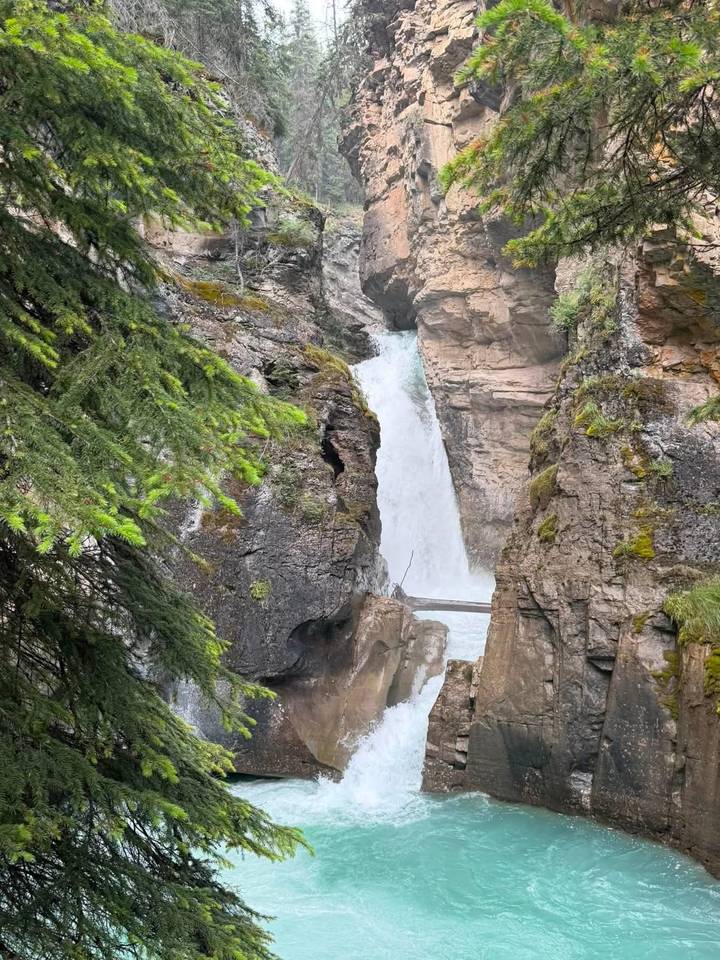 Narrow waterfall plunging between rugged cliffs framed by green conifer branches.