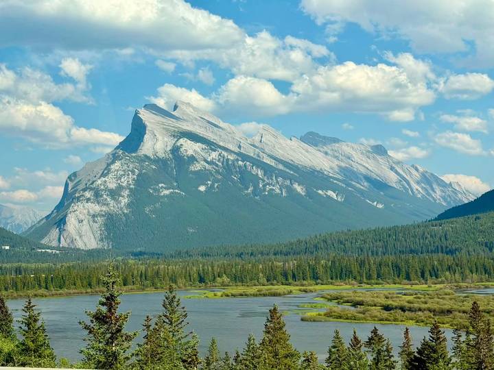 Iconic slanted Mount Rundle rising above wetlands and pine forest under a blue sky.
