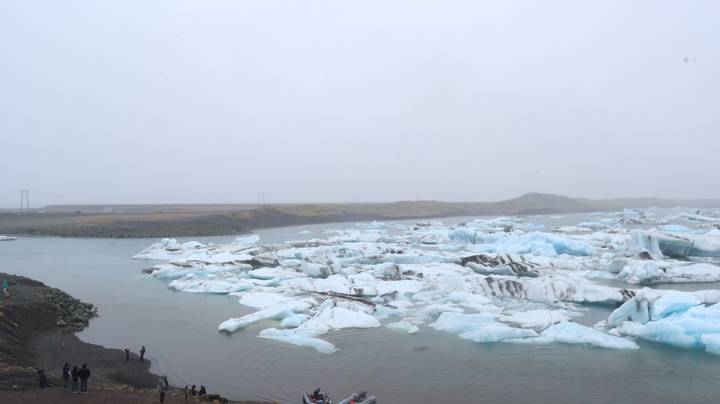Wide view of icebergs floating in Jokulsarlon glacial lagoon under grey sky.