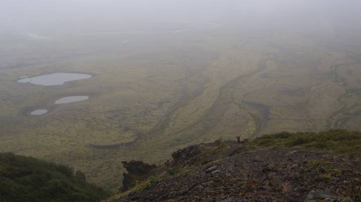 Hiker in misty panoramic view over Icelandic highlands with rivers and ponds far below.