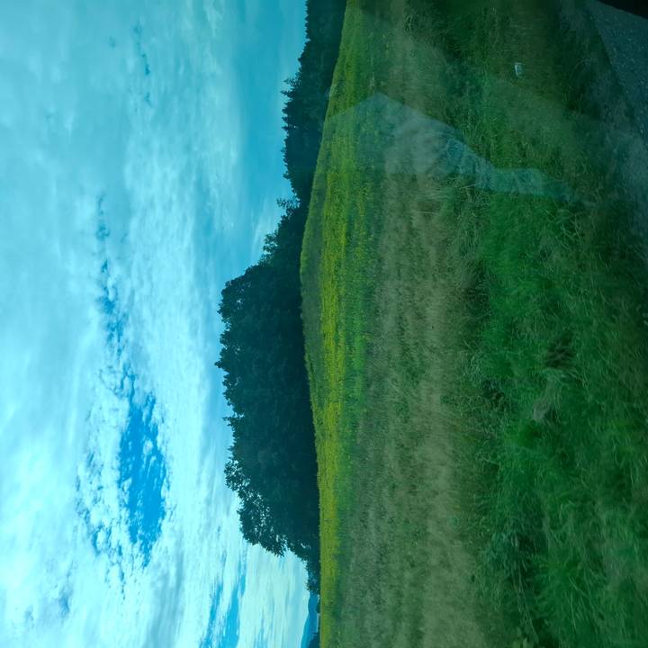 A countryside scene with green and yellow fields bordered by a line of trees under a partly cloudy blue sky.