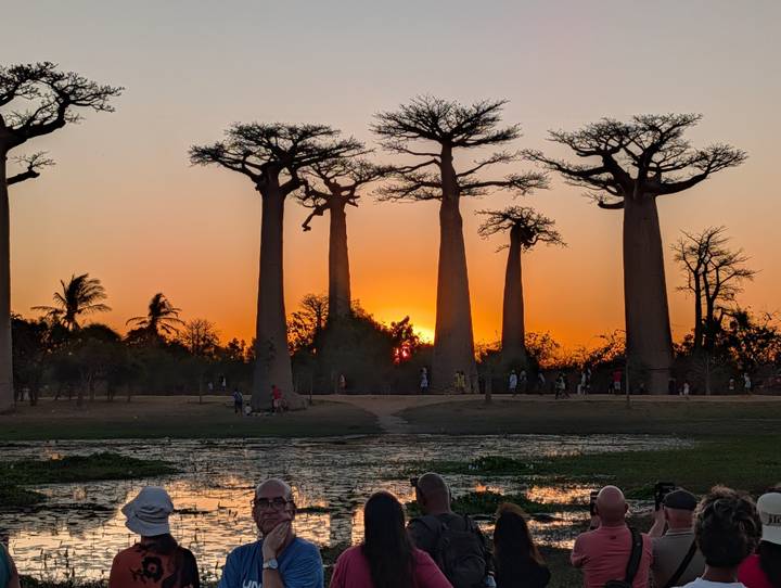 Silhouetted baobab trees lining a dirt track at sunset with visitors walking beneath the fiery sky.