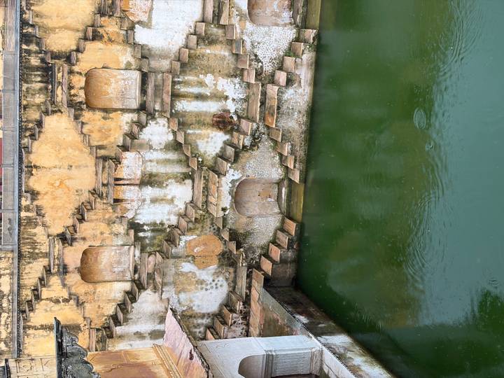 Ancient stepwell with mossy stone steps descending to green water surface.